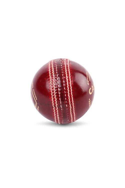 SG Cricket Ball Campus Red